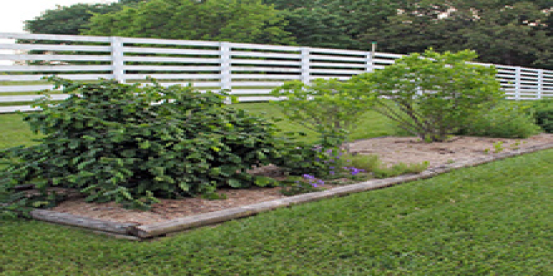 2a - Location, Shape & Size