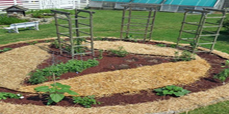 2b - Location, Shape & Size