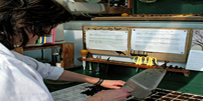 6 - Starting Seeds Indoors