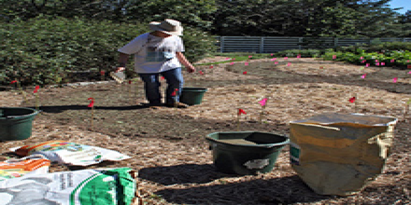 8b - Soil Prep & Fertilizing