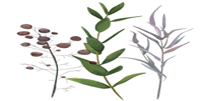 Ready for a new perspective? Consider This!