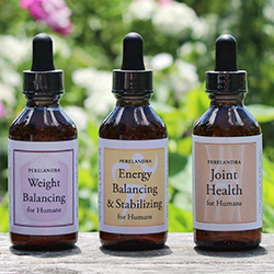 Perelandra Solutions