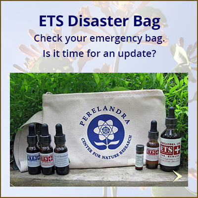 feat_ETS-disaster-bag_400x