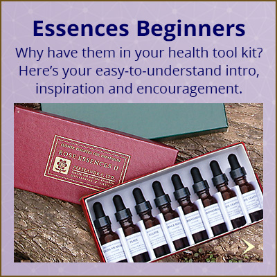 feat_Essences-basics-3_400x