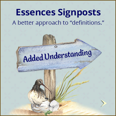 feat_Essences-signposts-3_400x