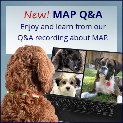 feat_MAP-QA-quest-3_Mar26_400x