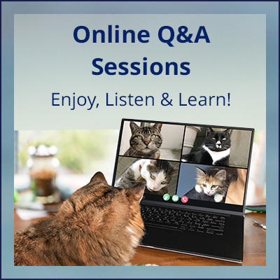 feat_Online-Q-A-Gen_400x