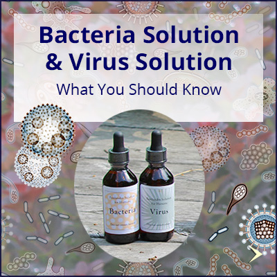 feat_about-Virus-Bacte-2_400x
