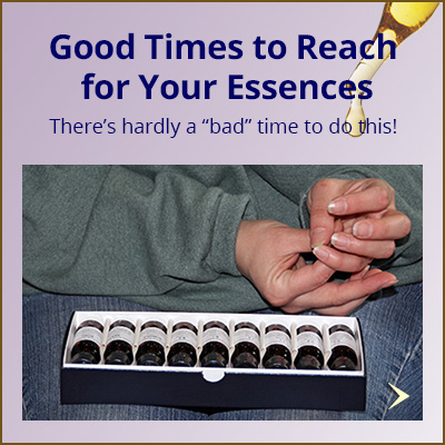 feat_times-for-essences-3_400x