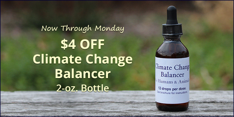 sale_4off-2oz-CCB_800x400