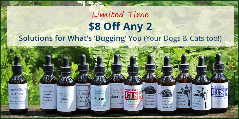 spec_A2-bites-para-V-B-EH-EM-2oz_800x400