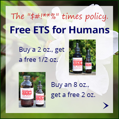 spec_ongoing-free-EHU-2_400x