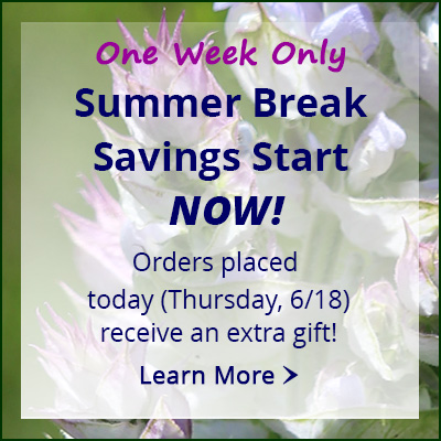 spec_summer-breaknow_400x