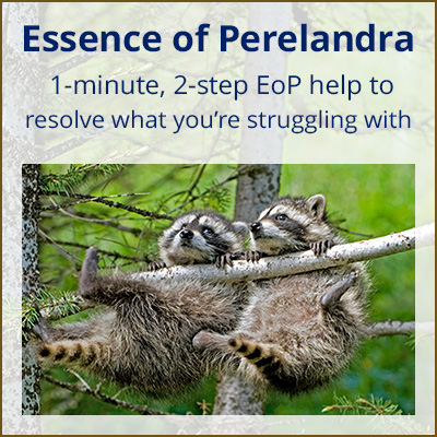 tip_EOP-resolve-struggle-2_400x