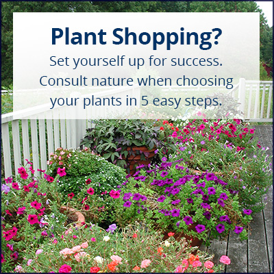 tip_buying-plants-consult-nature_400x