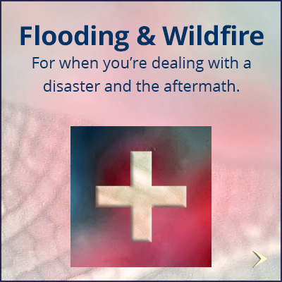 tip_disaster_400x