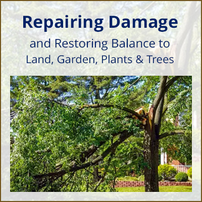 tip_disastr-weather-damage_400x