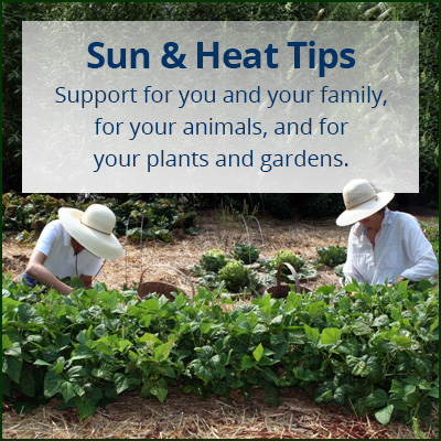 tip_sun-heat-gdn-ETS_400x