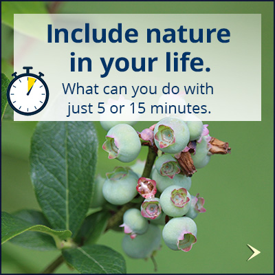 tips_nature-every-day-2_400x