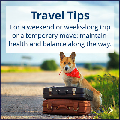 tips_travel-corgi-suitcase_400x