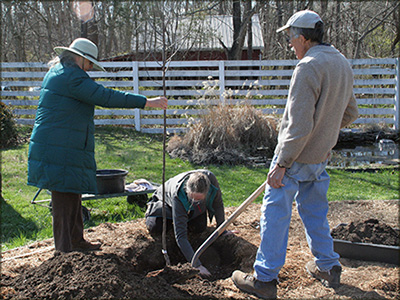 M-J-C-tree-planting_4x3