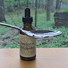 Essence of Perelandra