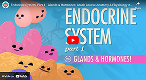 Crash Course Integumentary