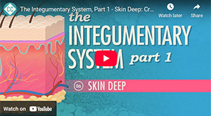 Crash Course Integumentary