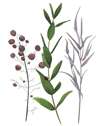 Ready for a new perspective? Consider This!