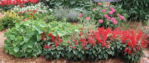 pg_wkbk-garden-2_600w