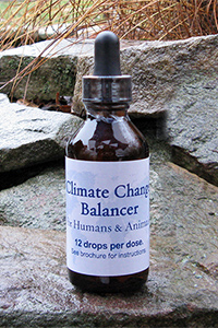 climate change balancer